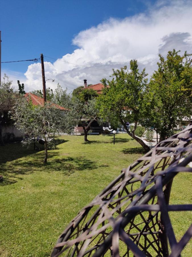 Villa Elina House And Garden Nikiti  Esterno foto